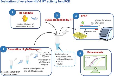 vault test drop off|vault rt qpcr test.